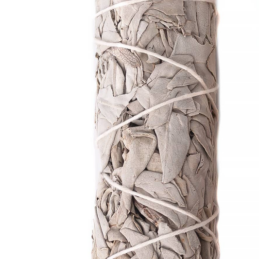 Sage - White sage from California